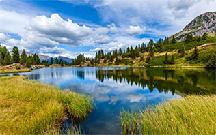 ?環(huán)保公益，為環(huán)保事業(yè)貢獻一份力量